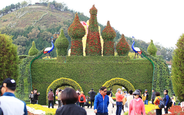 함평 엑스포공원  중앙광장 입구에 위치한 마법의 성 조형물. 벽면에 피어난 다채로운 국화꽃이 관람객을 맞이 하고 있다.